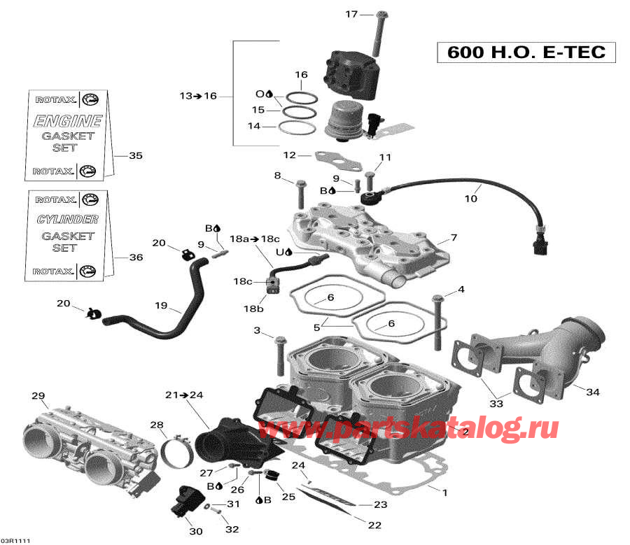 Snowmobiles Lynx  -   Injection System
