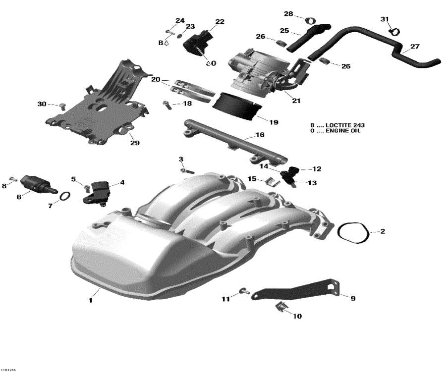 Snowmobile Lynx  -      / Air Intake Manifold And Throttle Body