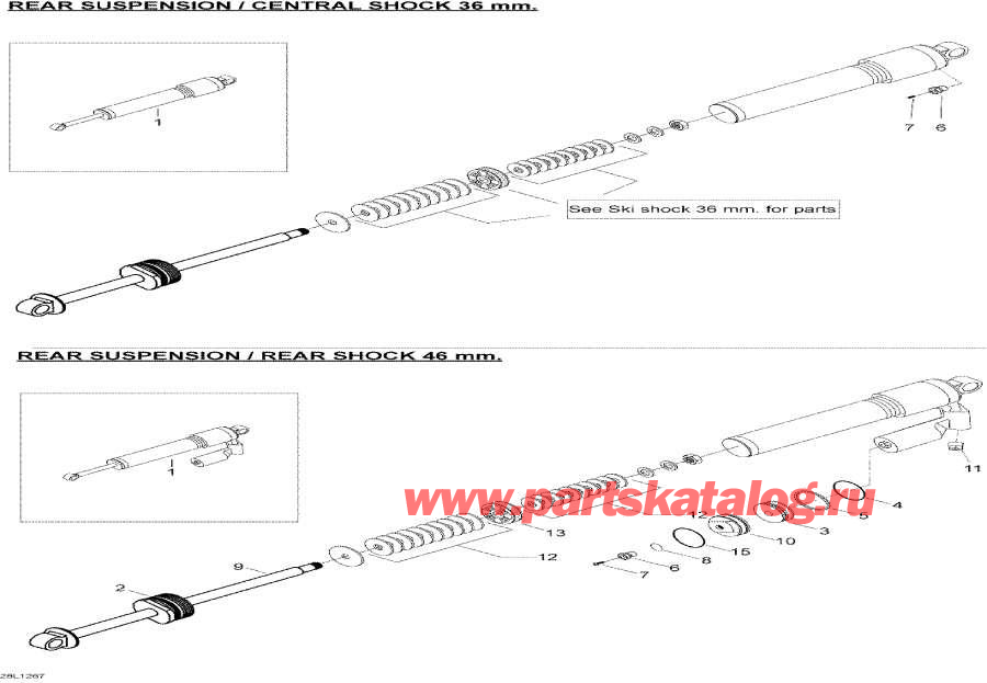 Snowmobile Lynx  - Rear Shocks