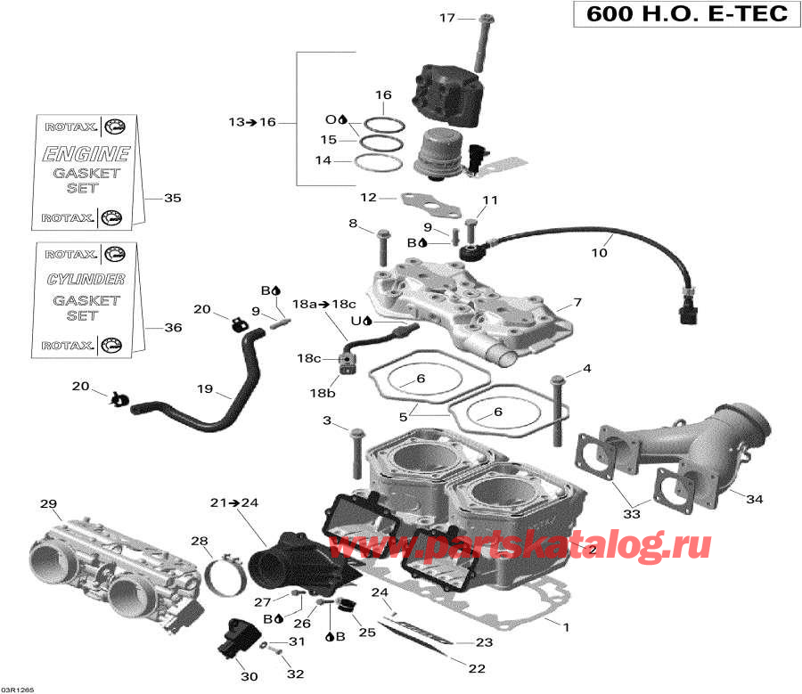  Lynx  - Cylinder And Injection System /   Injection System