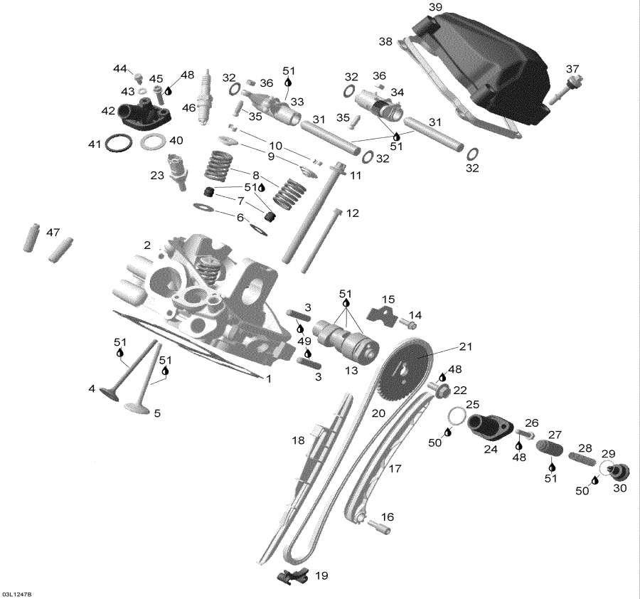 Snow mobile lynx  - Cylinder Head Rear -    Rear