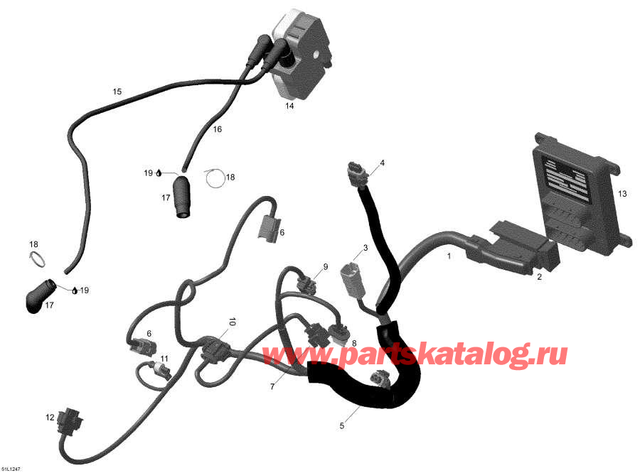 Snowmobile lynx  -     Electronic Module / Engine Harness And Electronic Module