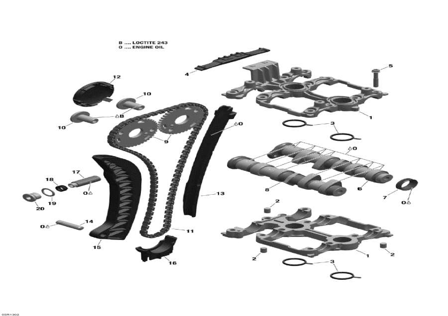 Snowmobile   - Camshafts And Timing Chain -     