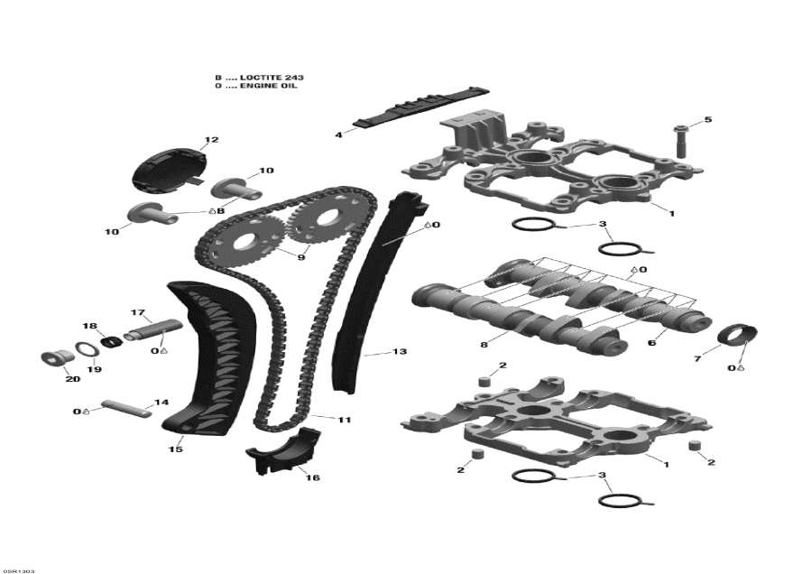 Snow mobile   - Camshafts And Timing Chain /     