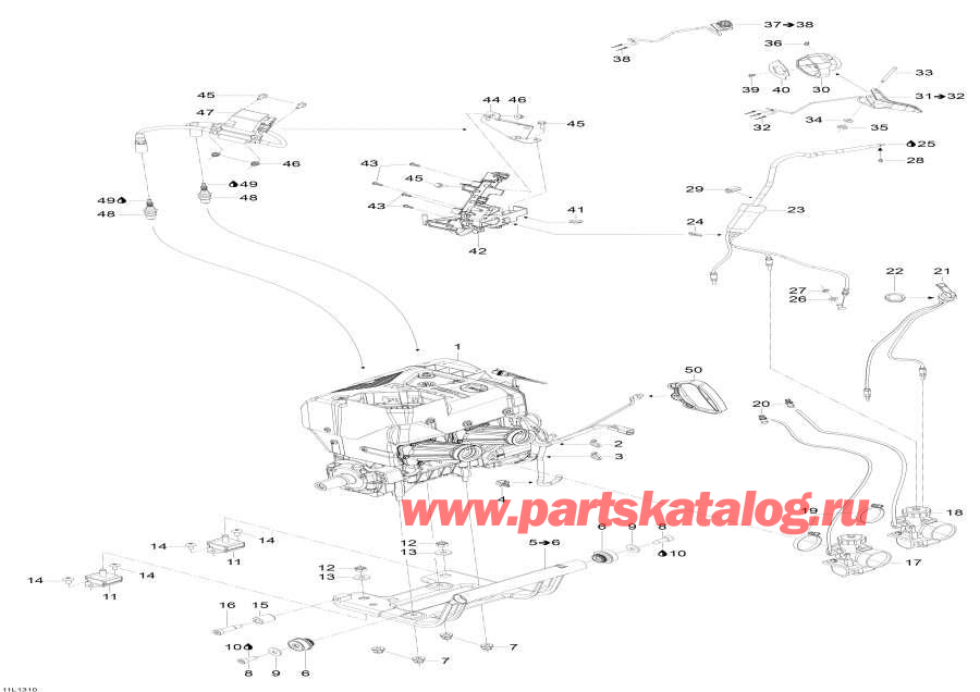 Snowmobile �����  - ��������� � ��������� S����port