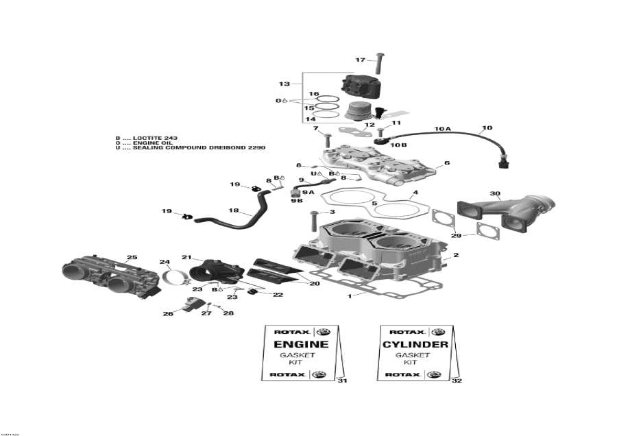  lynx  -   Injection System - Cylinder And Injection System