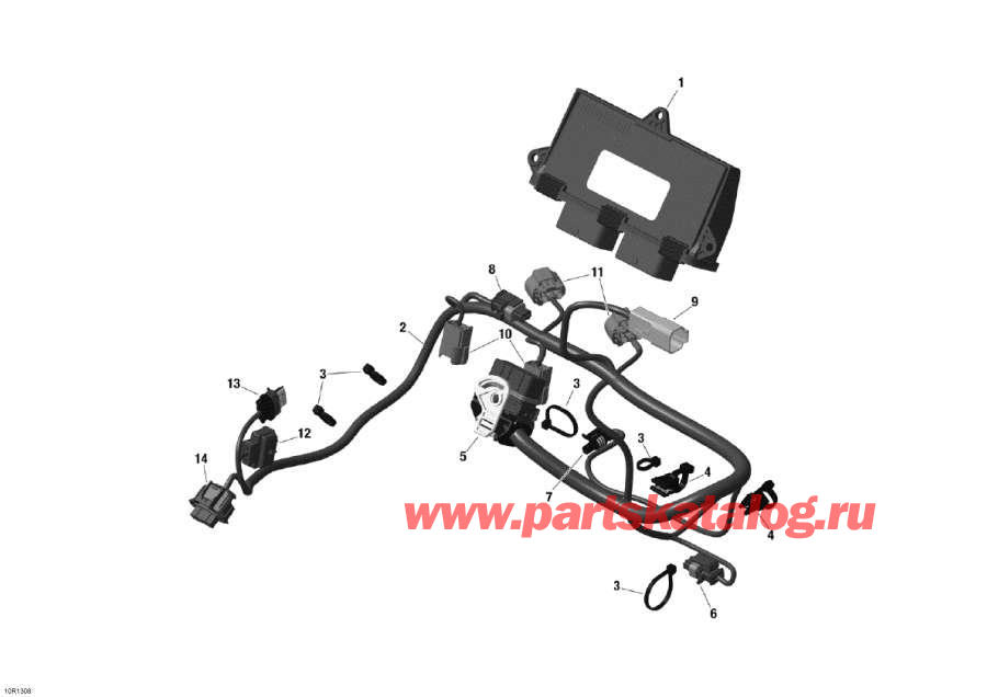  Lynx  - Engine Harness And Electronic Module