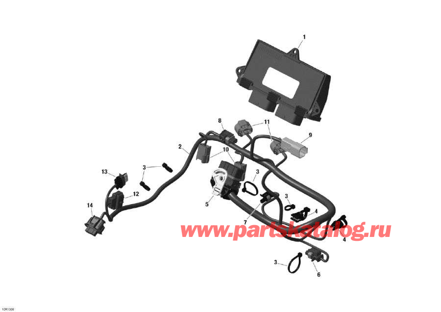    - Engine Harness And Electronic Module -     Electronic Module