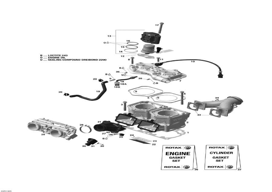 Snow mobile Lynx  -   Injection System,Cylinder And Injection System