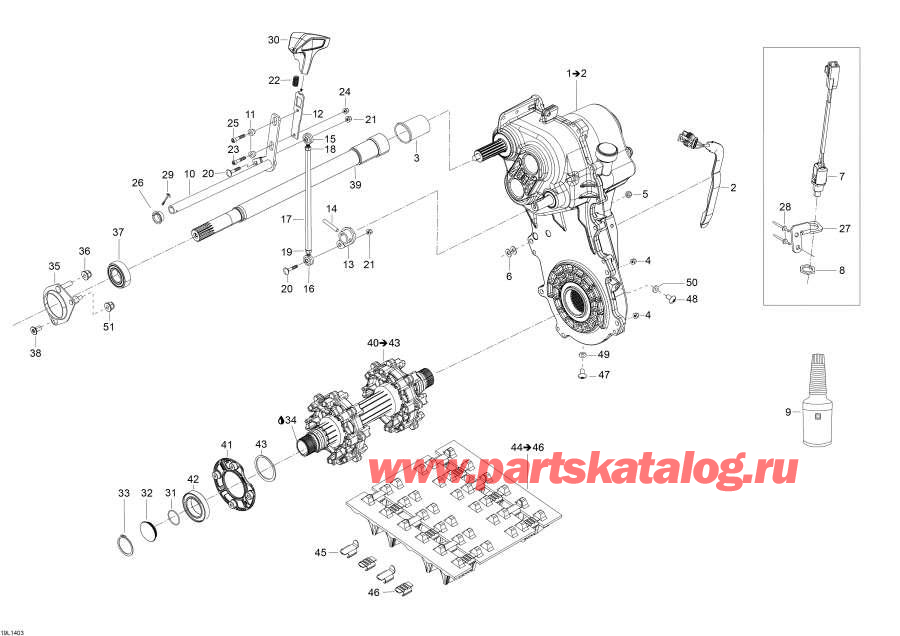  Lynx  - Drive System / Drive System