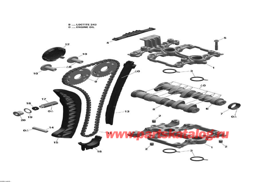 Snowmobile   - Camshafts And Timing Chain