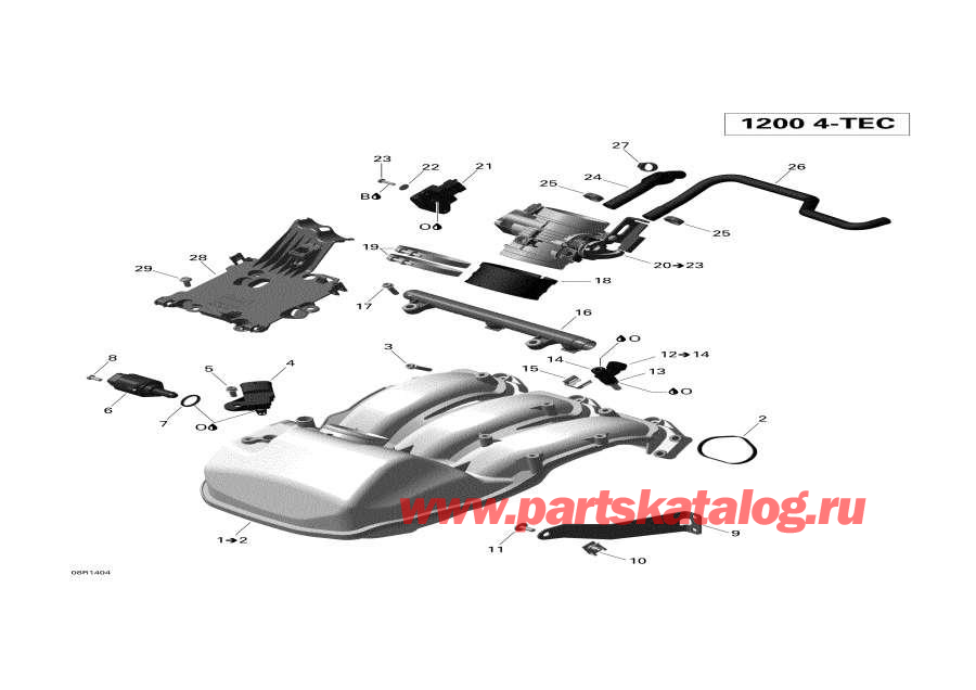 Snowmobiles   -      - air Intake Manifold And Throttle Body