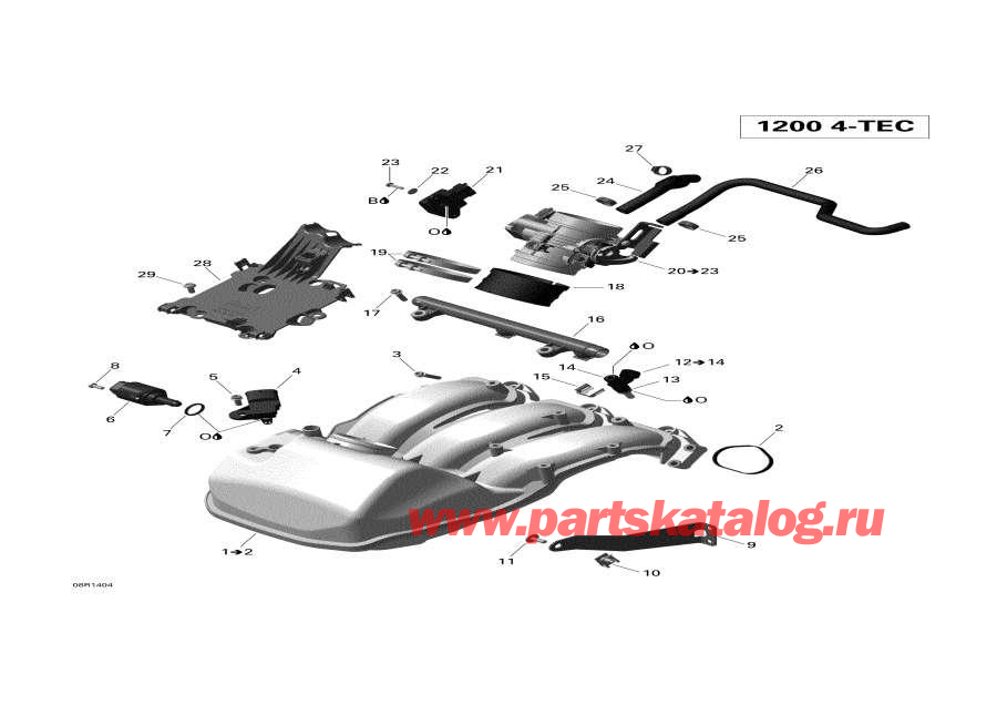 Snow mobile   -      - air Intake Manifold And Throttle Body