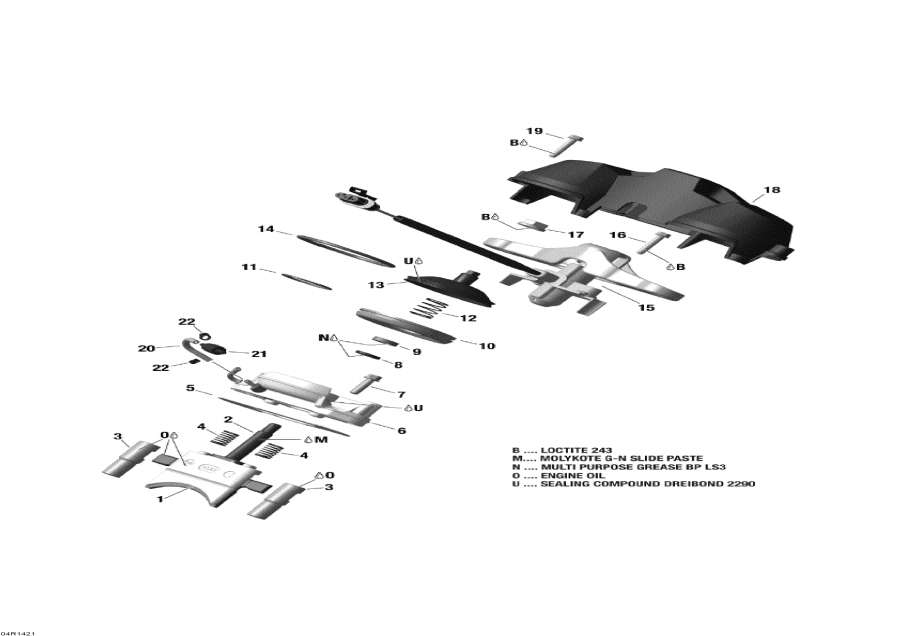 Snowmobiles   - Rave  / Rave Valve