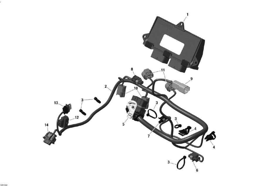 Snowmobile   - Engine Harness And Electronic Module -     Electronic Module