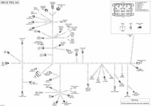 10-  -   - 800 E-tec - Touratech (10- Electrical Harness - 800 E-tec - Touratech)