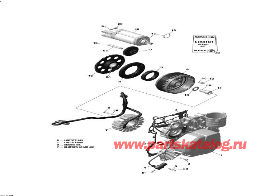 Snowmobile   - Magneto And Electric Starter - 900 Ace