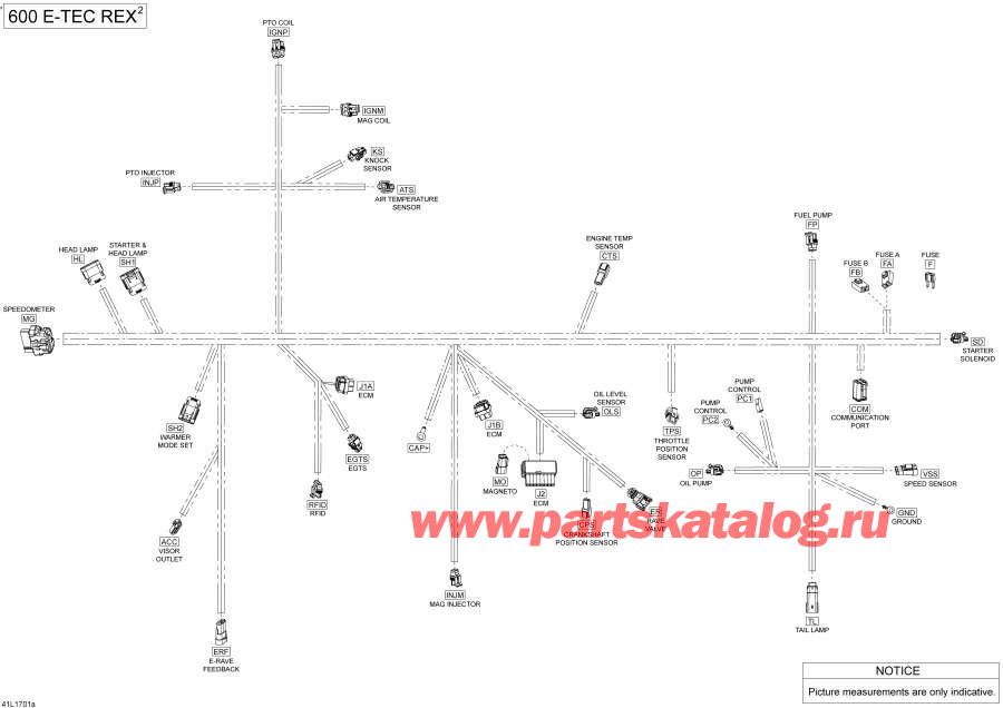 Snowmobiles   -  -   - 600 E-tec / Electrical Harness - 600 E-tec