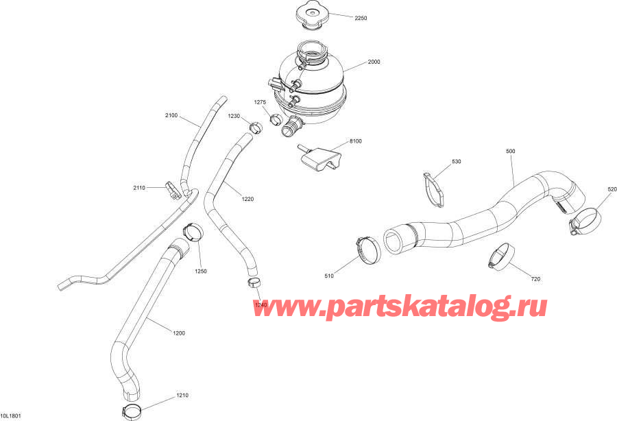 Snowmobile   -  System  850 E-tec