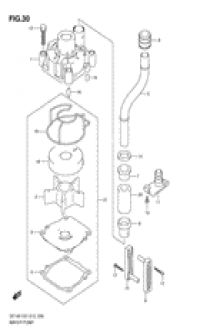 Water pump ( )