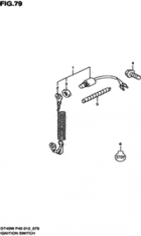 Ignition switch (Ignition )