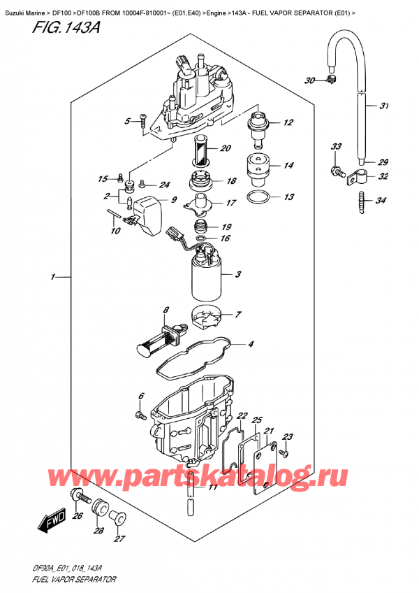 ,   , Suzuki DF100B TL/TX FROM 10004F-810001~ (E01)  2018 ,    (E01) / Fuel  Vapor  Separator  (E01)