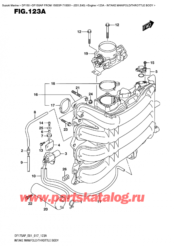  ,   , Suzuki DF150AP '/X FROM 15003P-710001~ (E01)    2017 ,   /   - Intake Manifold/throttle  Body