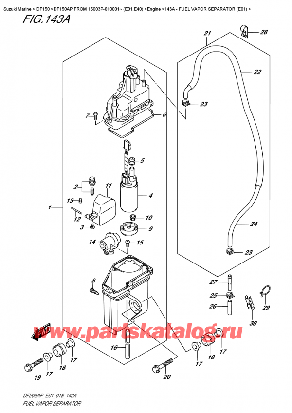  , , Suzuki DF150AP L / X FROM 15003P-810001~ (E01)  2018 , Fuel Vapor Separator  (E01) -    (E01)