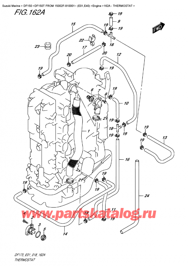  ,  , Suzuki DF150T L/X FROM 15002F-810001~ (E01)  2018 ,  / Thermostat