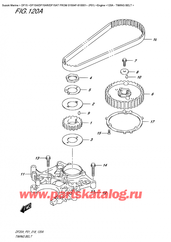  ,   ,  DF15A RS / RL FROM 01504F-810001~ (P01), Timing  Belt