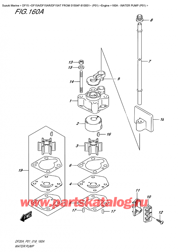 ,    , SUZUKI DF15A ES / EL FROM 01504F-810001~ (P01)  2018 , Water Pump  (P01)