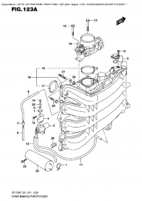 123A  -  Intake Manifold/throttle  Body (123A -   /  )