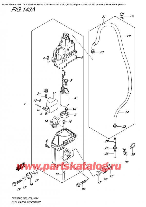  ,   , Suzuki DF175AP FROM 17503P-810001~ (E01)    2018 ,    (E01) / Fuel Vapor Separator  (E01)