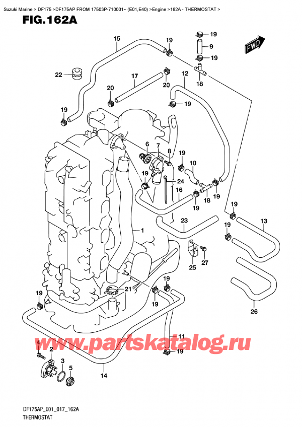 ������ ������������ ��������, �� ��������� �������� �����, Suzuki DF175AP L/X  FROM 17503P-710001~ (E01)  , Thermostat
