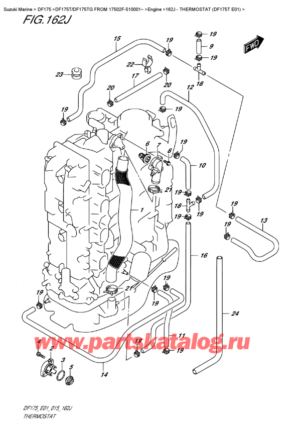   ,    ,  DF175T L / X FROM 17502F-510001~ (E01),  (Df175T E01) - Thermostat (Df175T  E01)