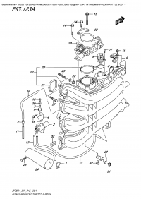 123A  -  Intake Manifold/throttle  Body (123A -   /  )