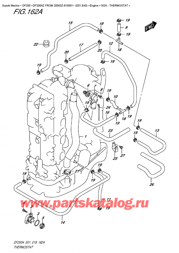 �������������, �� ���������, Suzuki DF200A ZL / ZX FROM 20003Z-810001~ (E01), Thermostat / ���������