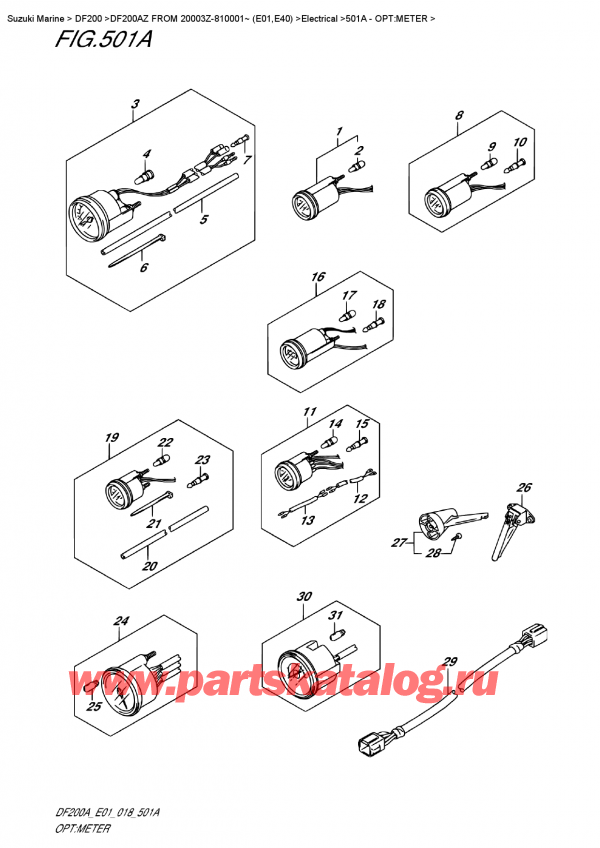 ,    ,  DF200A ZL / ZX FROM 20003Z-810001~ (E01)  2018 , :  - Opt:meter
