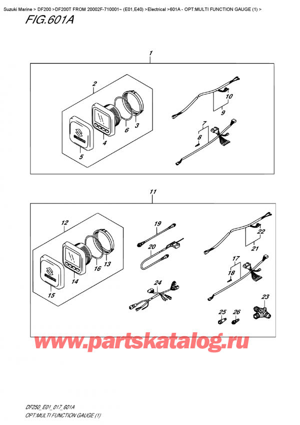 ,   ,  DF200T X FROM 20002F-710001~ (E01) , Opt:multi  Function  Gauge  (1) / : multi Function Gauge (1)