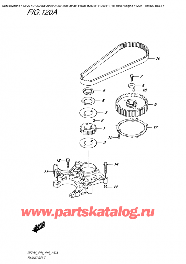  ,  , Suzuki DF20A S/L FROM 02002F-610001~ (P01 016)   2016 , Timing  Belt