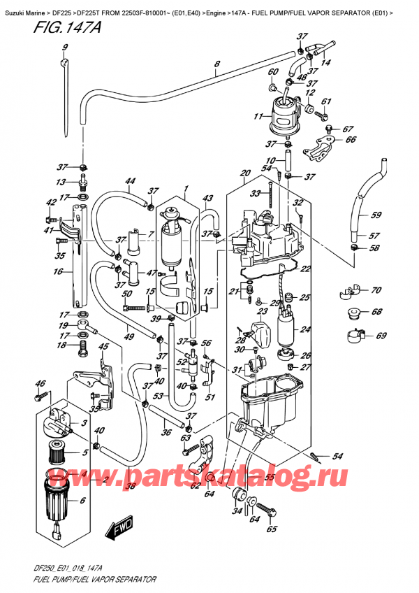   ,   , Suzuki DF225T X/XX FROM 22503F-810001~ (E01),   /    (E01) / Fuel  Pump/fuel  Vapor  Separator  (E01)