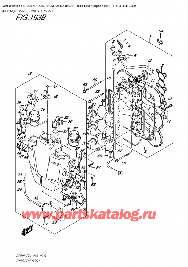 ��������, �� �����, Suzuki DF225Z X/XX FROM 22503Z-810001~ (E01) ������ 2018 ����, �������� ���� (Df225T) (Df225Z) (Df250T) (Df250Z)