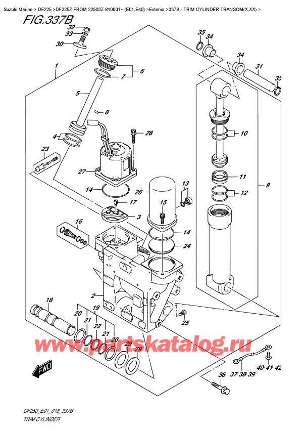   ,   , Suzuki DF225Z X/XX FROM 22503Z-810001~ (E01),   Transom (X, xx)