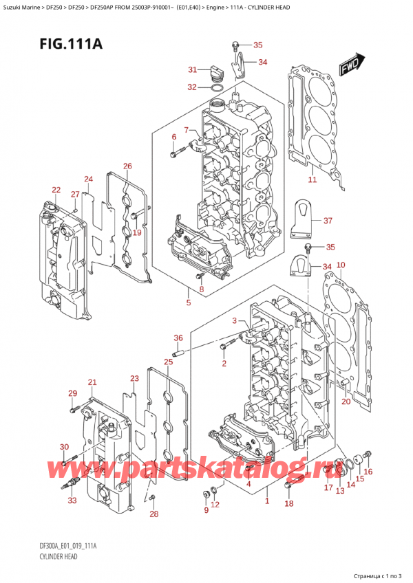  ,    , SUZUKI  DF250AP X/XX FROM 25003P-910001~ (E01)  2019 ,    / Cylinder Head