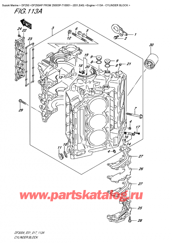 ,  ,  DF20A TL / TS FROM 02002F-710001~ (P01 017),   - Cylinder Block