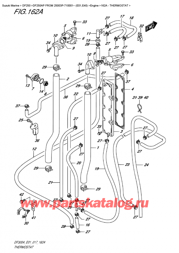 ������������ ��������, �� �������� �����, Suzuki DF20A TL / TS FROM 02002F-710001~ (P01 017), Thermostat