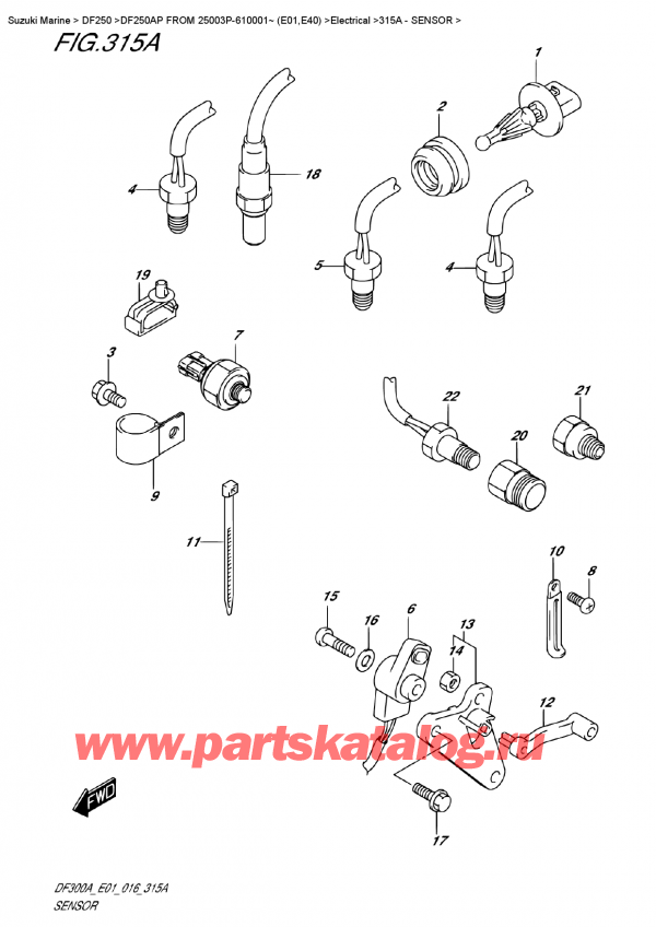   , , SUZUKI DF250AP L/X FROM 25003P-610001~ (E01)    2016 , 