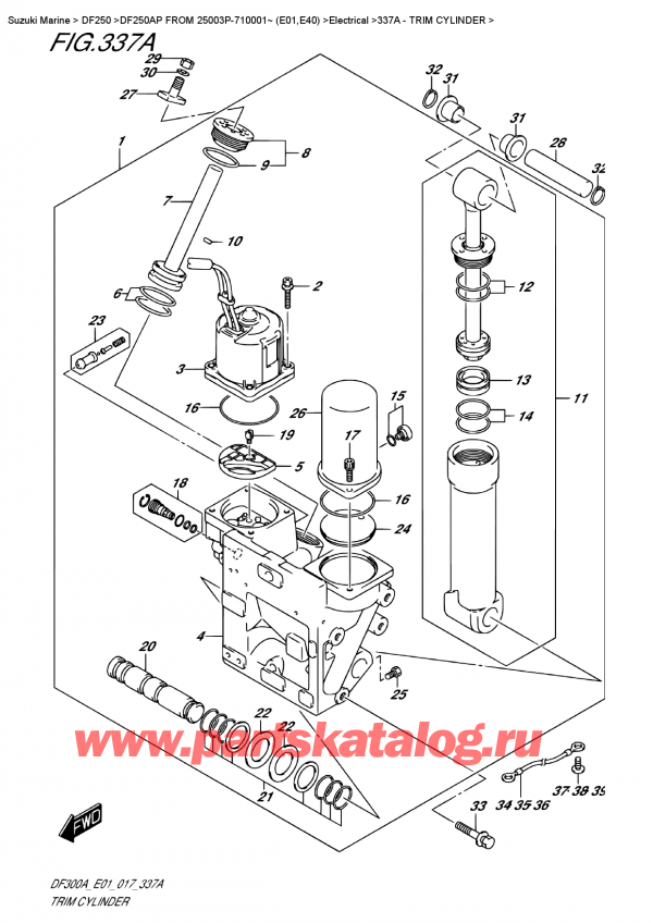  ,   , Suzuki DF20A TL / TS FROM 02002F-710001~ (P01 017)  2017 ,  