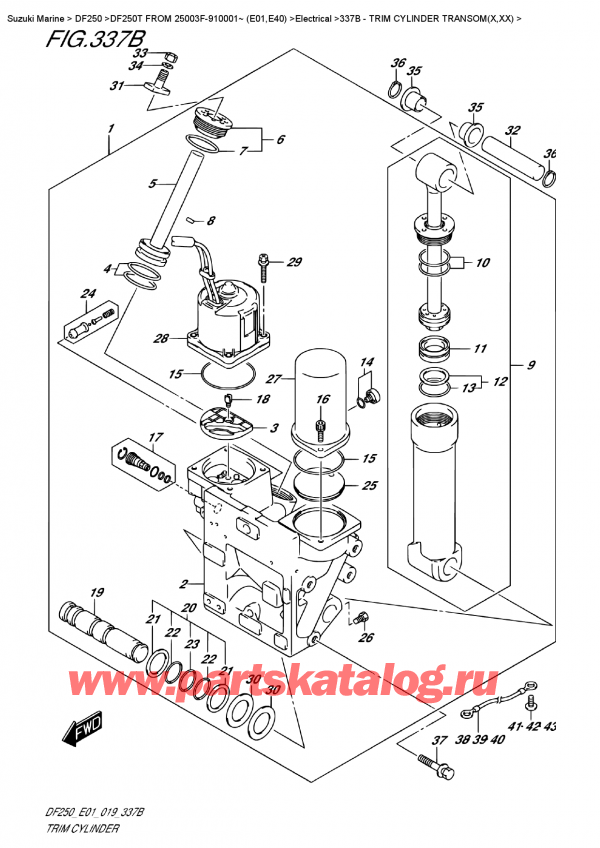  ,   , SUZUKI DF250T X / XX FROM 25003F-910001~ (E01), Trim Cylinder  Transom(X,xx)