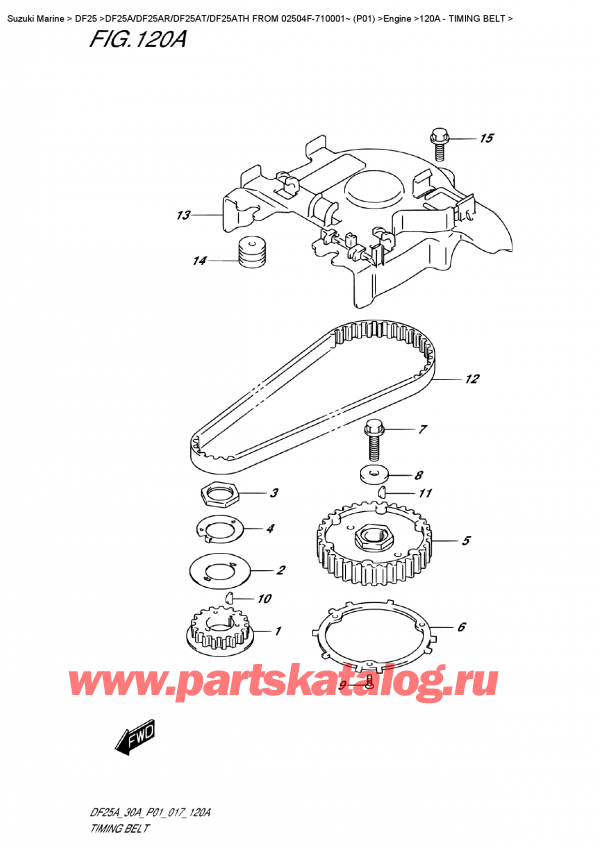  ,  , Suzuki DF25A RS FROM 02504F-710001~ (P01)    2017 ,   / Timing  Belt